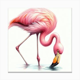 Flamingo 2 Canvas Print