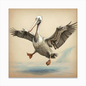 Pelican In Flight 5 Canvas Print