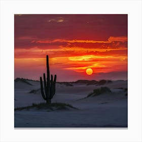 cactus at sunset Canvas Print