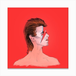 Ziggy Stardust Canvas Print