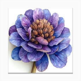 Purple Chrysanthemum Canvas Print