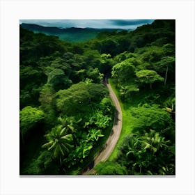 Road In The Jungle Canvas Print