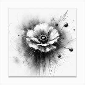 Black And White Poppy Canvas Print