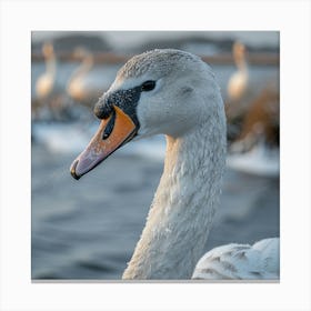 Swans Canvas Print