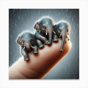 Elephants On A Finger Canvas Print