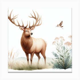 Elk 3 Canvas Print