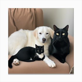 Three Cats And A Dog Canvas Print