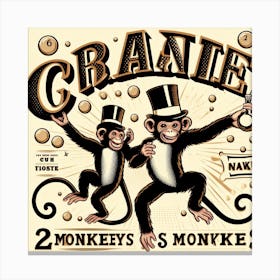 Two Monkeys And Monkeys Canvas Print