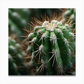 Cactus 2 Canvas Print