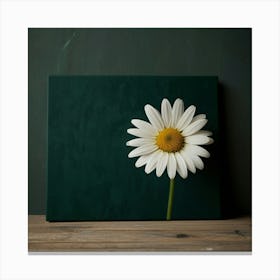 Daisy Canvas Print