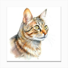 Seychellois Cat Portrait 1 Canvas Print