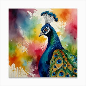 Peacock Watercolor Painting Canvas Print