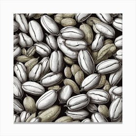 Pistachios And Nuts Canvas Print