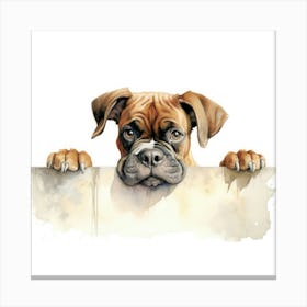 Boxer Dog 11 Canvas Print