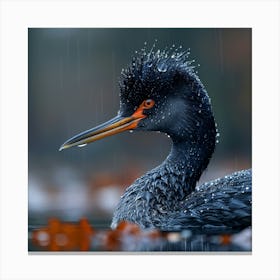 Black Stork In The Rain Canvas Print