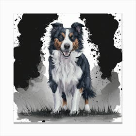 Australian Shepherd 3 Canvas Print