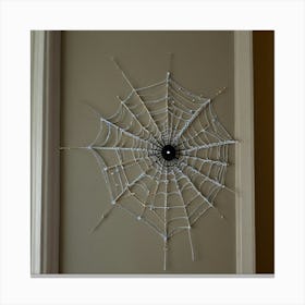 Spider Web 1 Canvas Print