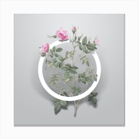 Vintage Pink Flowering Rosebush Minimalist Botanical Geometric Circle on Soft Gray n.0458 Canvas Print