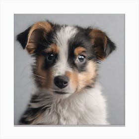 Australian Shepherd Puppy Canvas Print