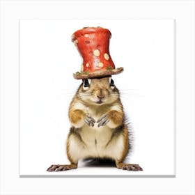 Squirrel In A Hat Canvas Print