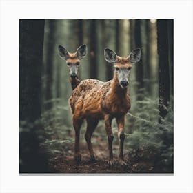 Deer In The Forest Canvas Print