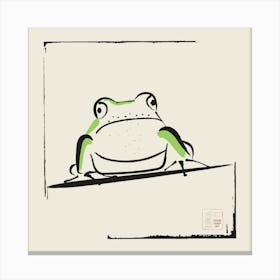 Frog Stare Canvas Print