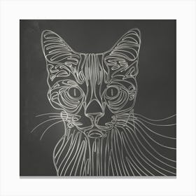 Cat Drawing On Chalkboard Canvas Print