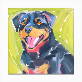 Rottweiler 01 Canvas Print