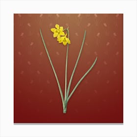 Vintage Narcissus Odorus Botanical on Falu Red Pattern n.1021 Canvas Print
