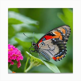 Butterfly On A Flower 5 Canvas Print