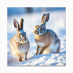 Two Hares In The Snow Canvas Print