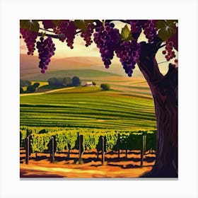 Vineyard Landscape Canvas Print