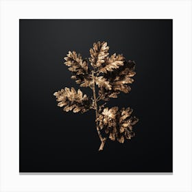 Gold Botanical Hungarian Oak on Wrought Iron Black n.3884 Canvas Print