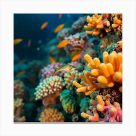 Coral Reef In The Red Sea Canvas Print