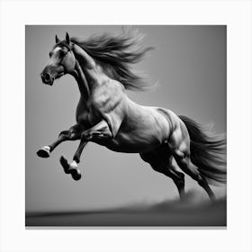 Close Up Of The Horse In Gallop Black And White Still Digital Art Perfect Composition Beautiful (2) Canvas Print
