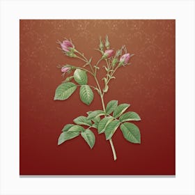 Vintage Crimson Evrat's Rose Botanical on Falu Red Pattern n.0732 Canvas Print