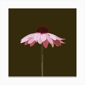 Pink Flower Square Canvas Print