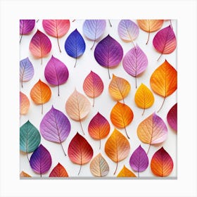 Autumn Leaves On White Background 1 Canvas Print