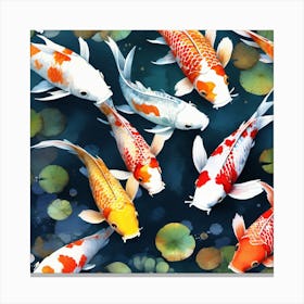 Koi Fish print Canvas Print