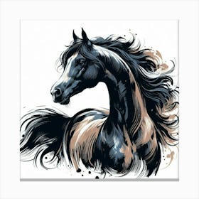 Illustration Arabian stallion 3 Canvas Print