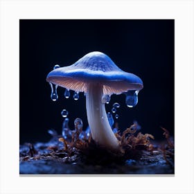 dramatic mushroom 3 Canvas Print