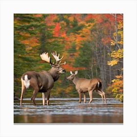 Moose And Deer Canvas Print