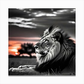 Sunset Lion Canvas Print