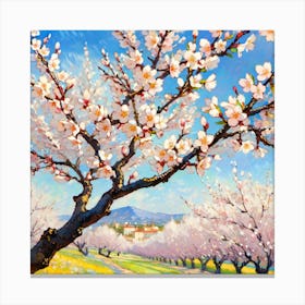 Blossoming Almond Trees Canvas Print