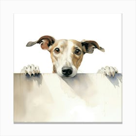 Whippet Dog 1 Canvas Print