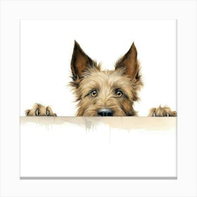 Scottish Terrier Canvas Print