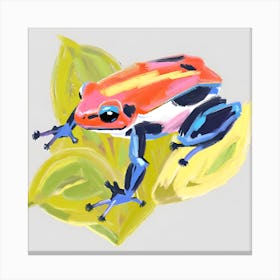 Poison Dart Frog 01 Canvas Print