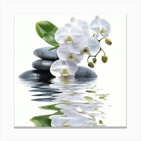 White Orchids 3 Canvas Print