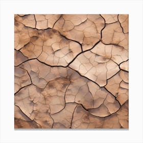 Cracked Earth 3 Canvas Print