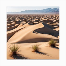 Sand Dunes In The Desert 1 Canvas Print